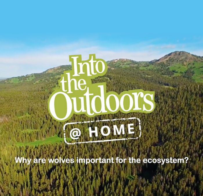 Into the Outdoors – Classroom Videos
